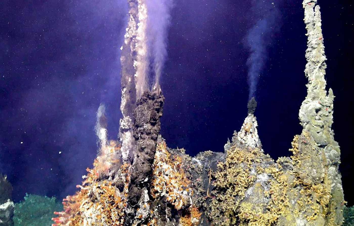 Hydrothermal system at Axial Seamount