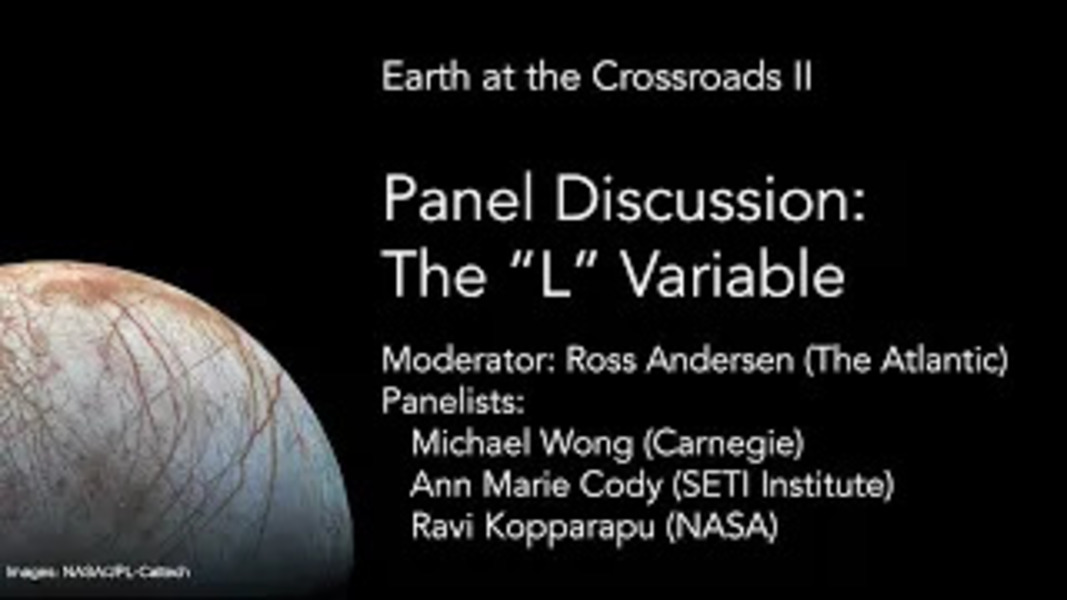 Panel The L Variable