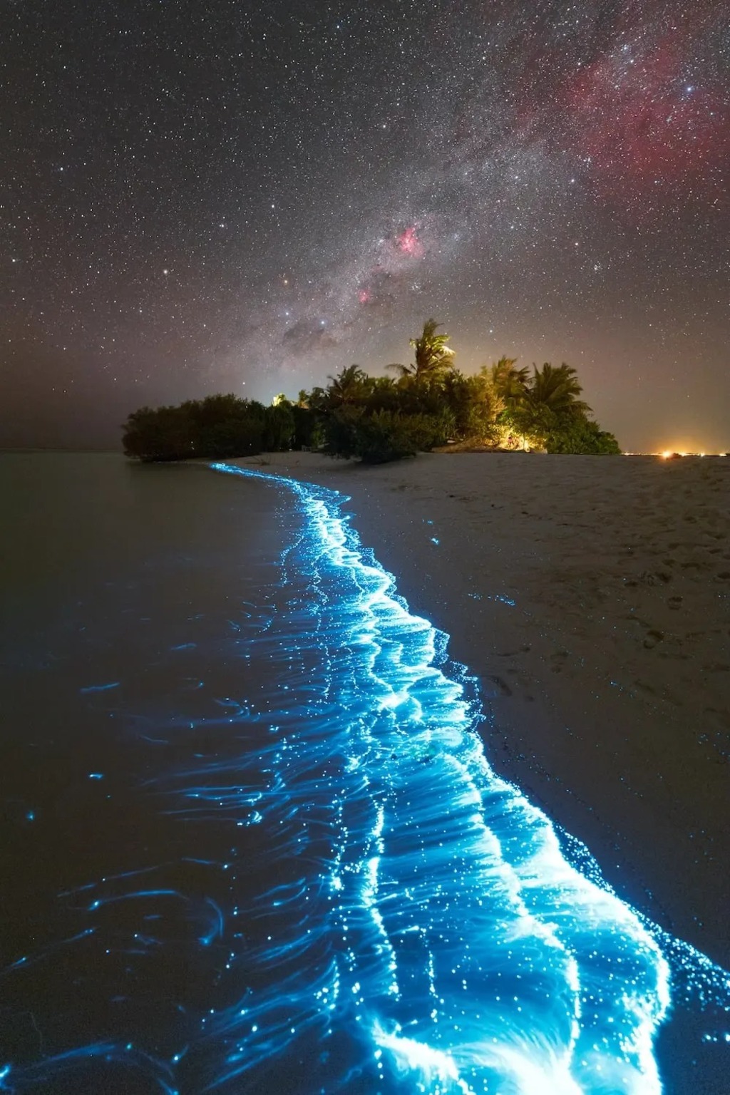 Milky Way Over a Turquoise Wonderland of Bioluminescence