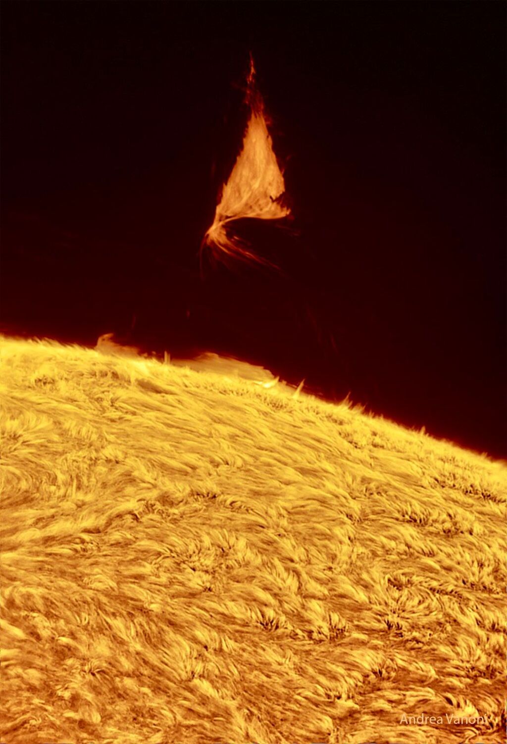 A Triangular Prominence Hovers Over the Sun