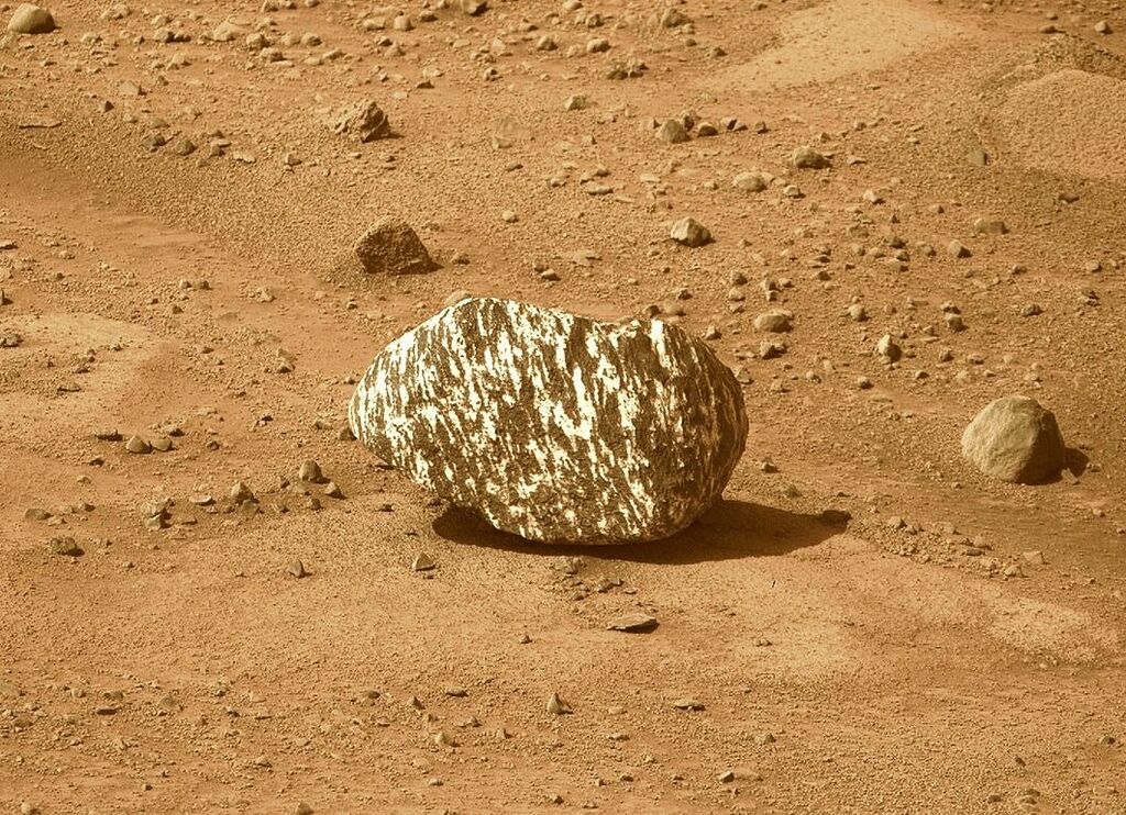 Surprise Martian Rock