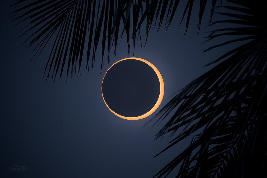 Annular Eclipse 2024