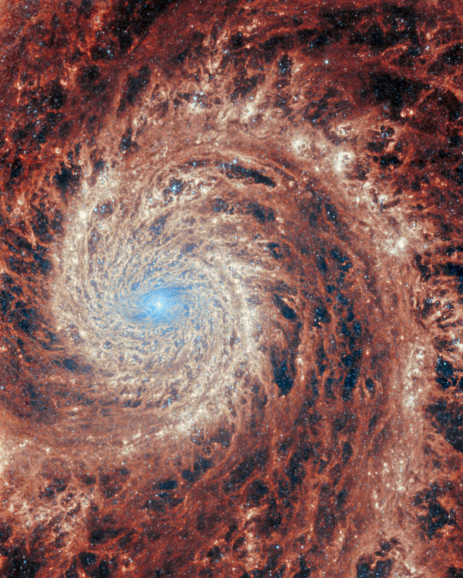 M51 (JWST MIRI image)