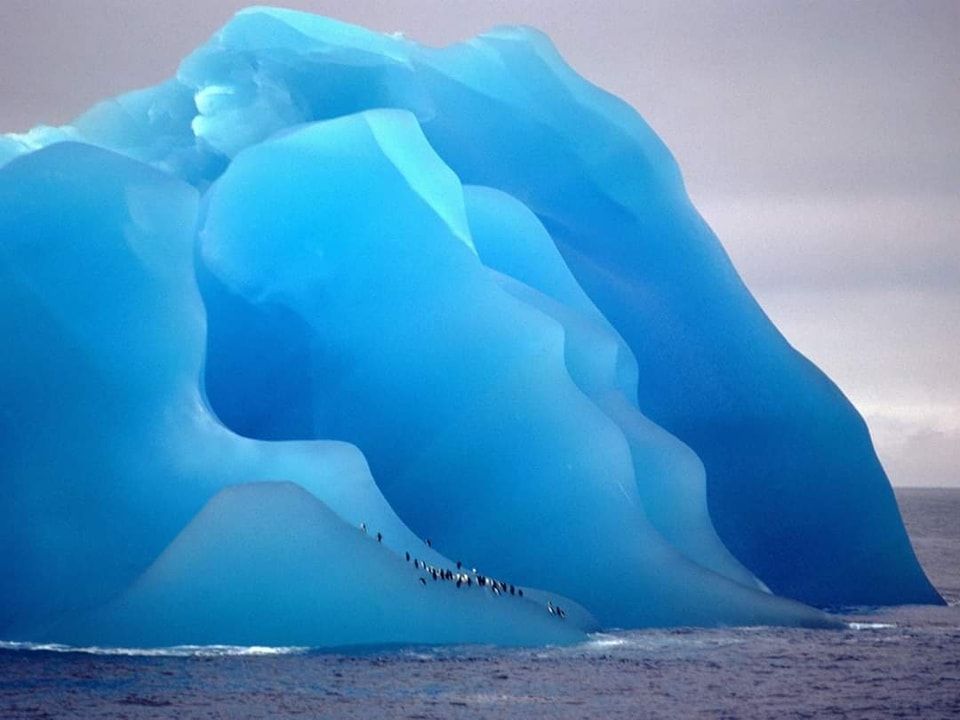 Pengiuns on Blue Ice