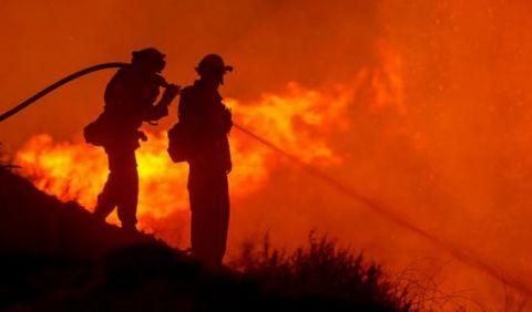 Firefighters fighting a brush fire