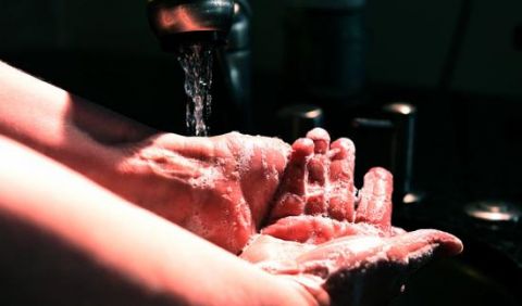 person washing their hands