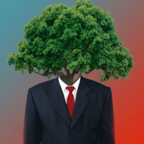 Image of a man with the head of a tree